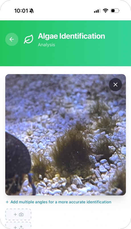 Reef Vitals invertebrate identification — invert photo upload screen