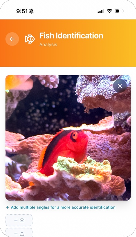 Reef Vitals reef calculator — alkalinity dosing calculator for saltwater tanks