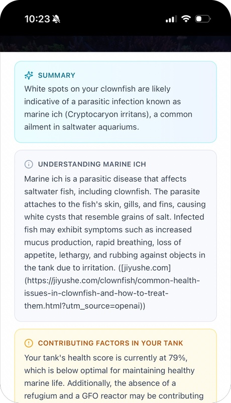 Reef Vitals reef expert AI answer — marine ich diagnosis for clownfish