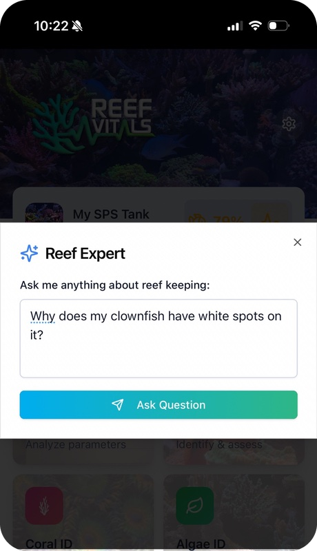 Reef Vitals reef expert assistant — ask anything about reef keeping